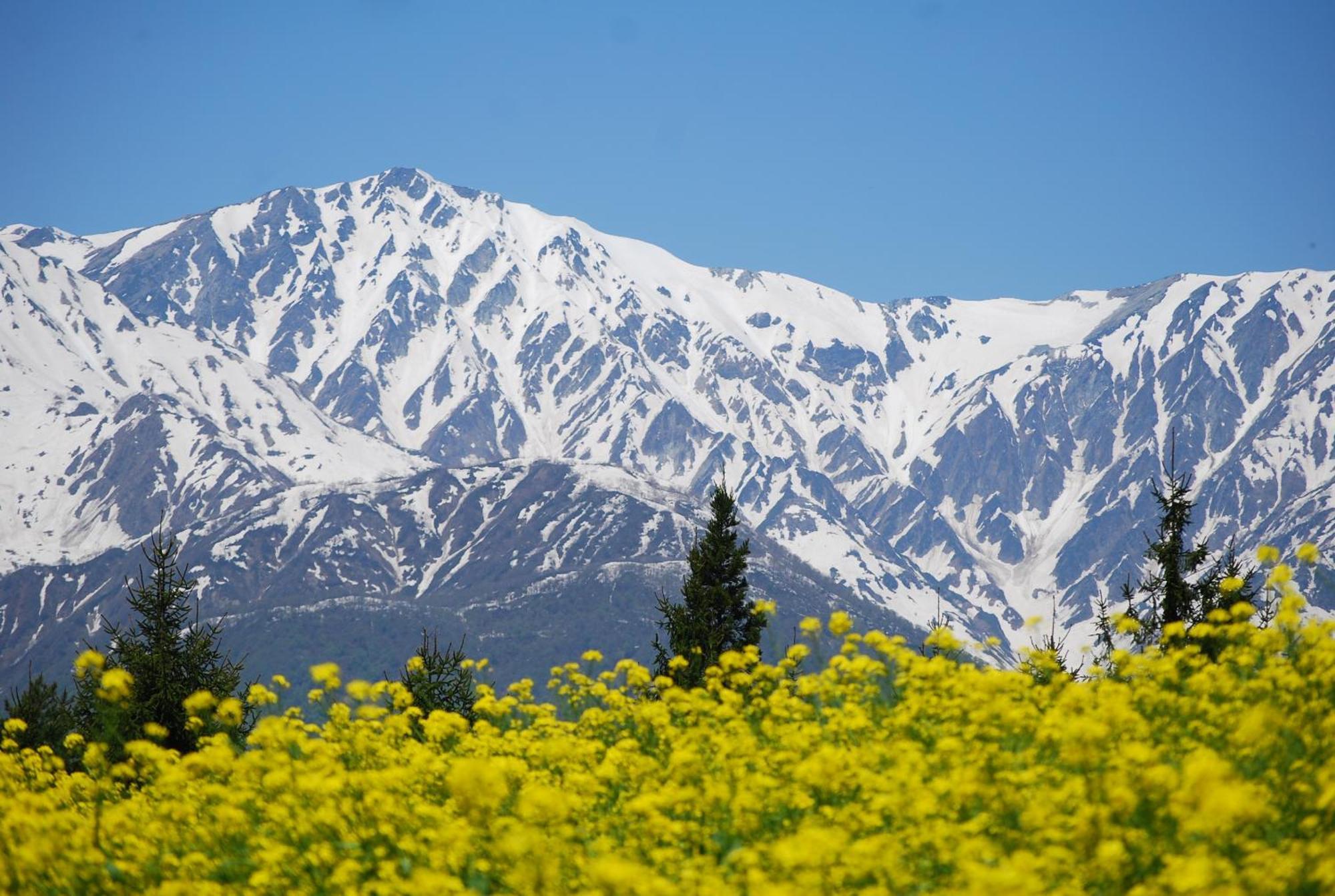Hakuba Highland Hotel Exterior foto